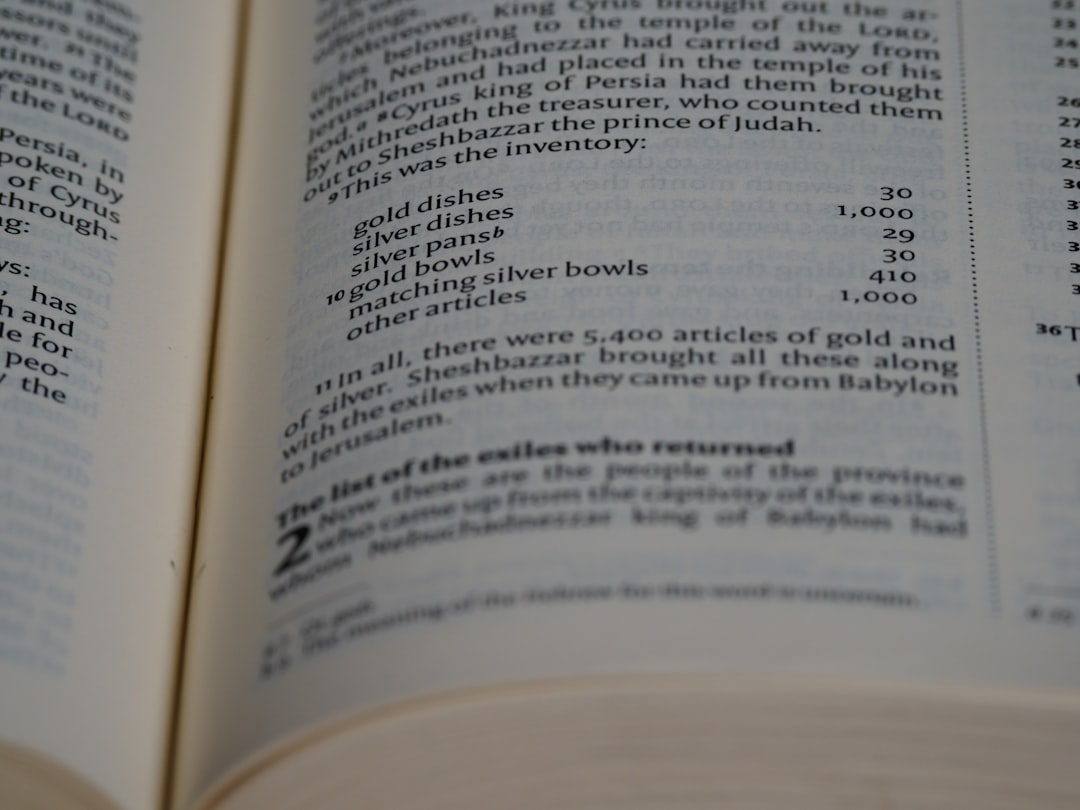 数组基础：管理数据的有序容器