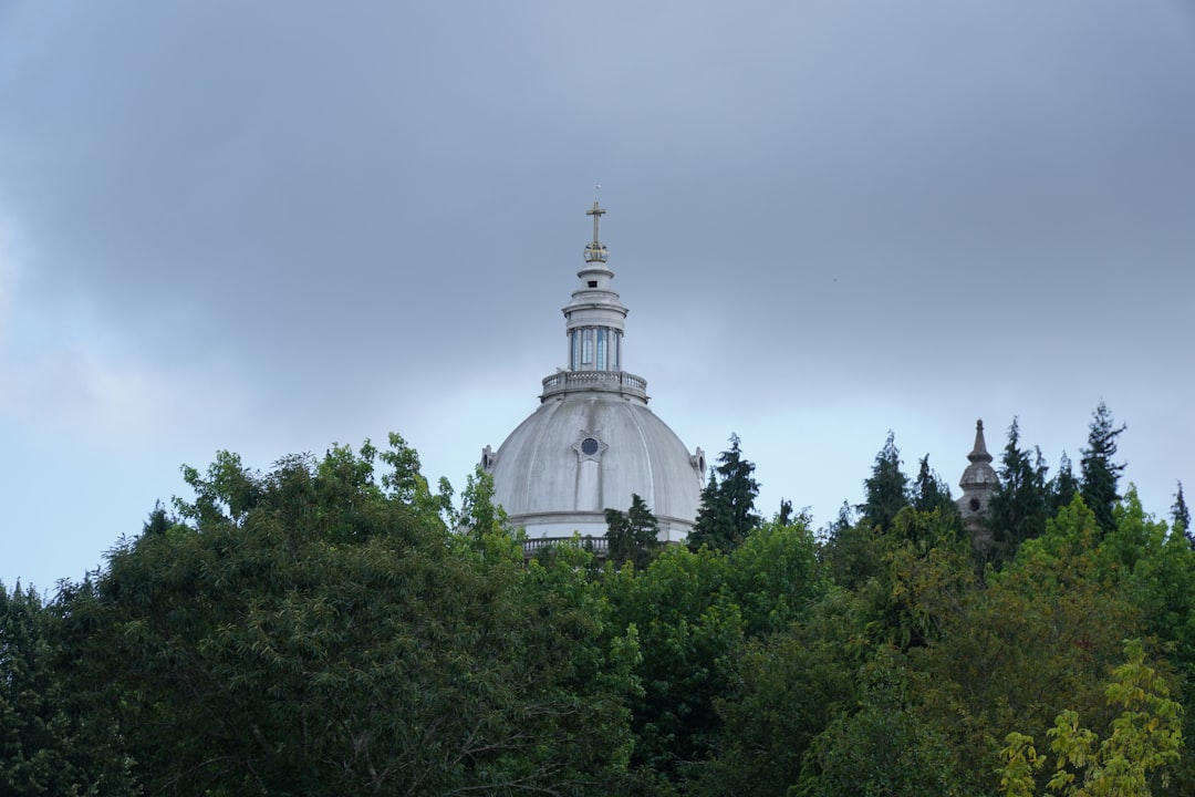 BOM 介绍与概述：浏览器对象模型完全指南