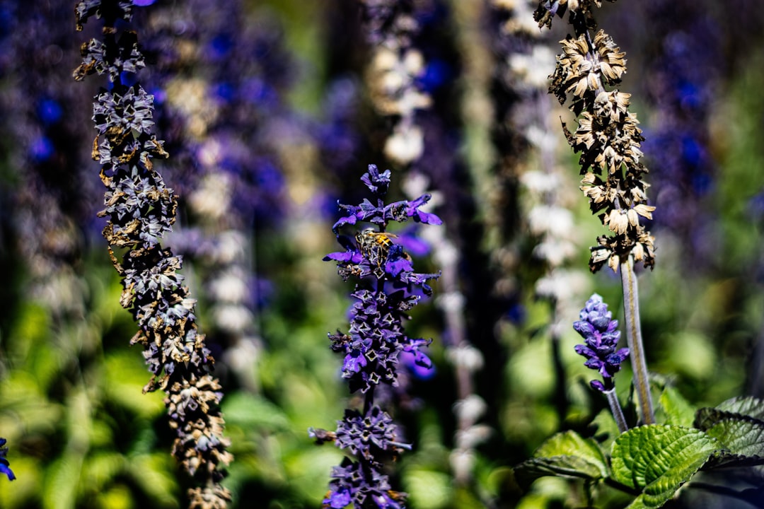 自定义事件:打造属于你的消息系统