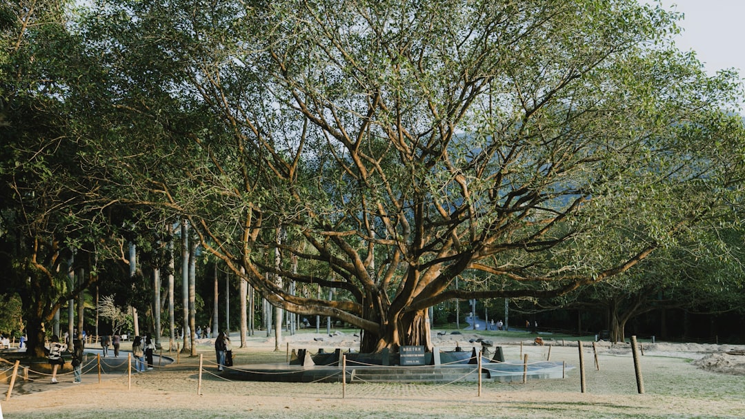 Creating DOM Elements: Dynamically Building Page Content