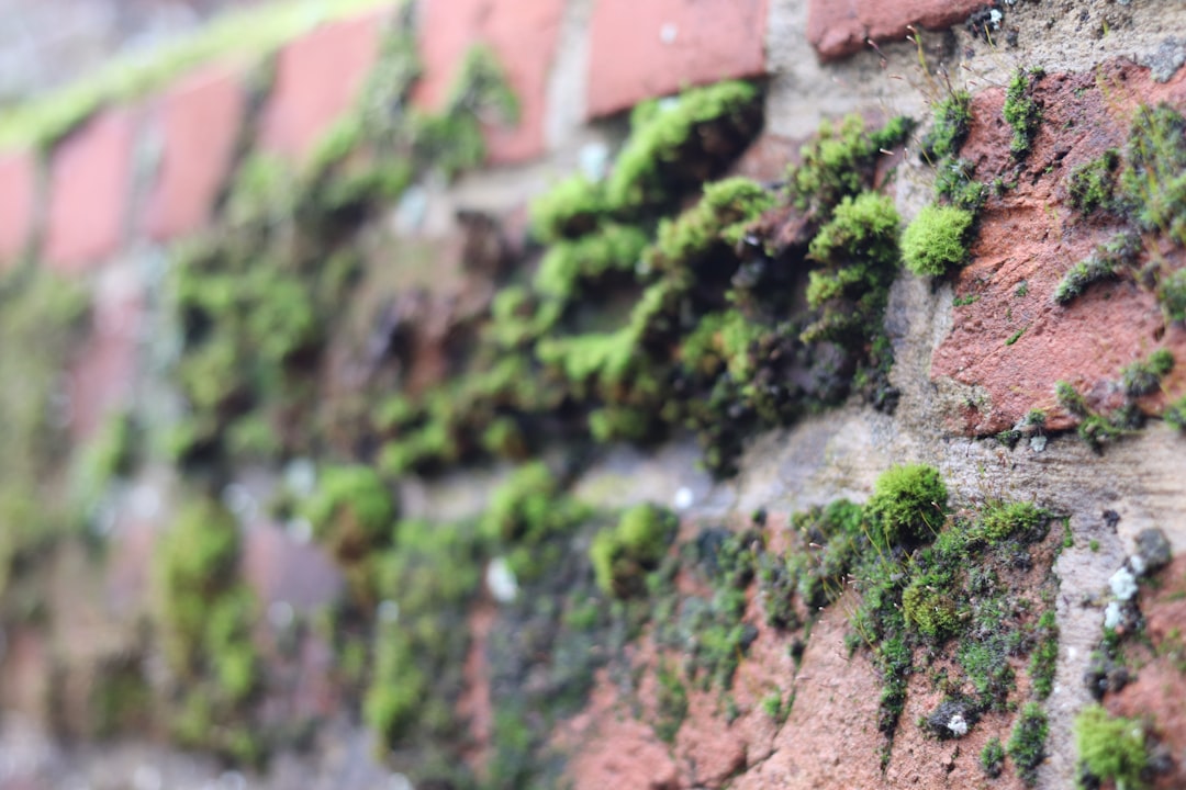 ES6 Extends 继承:现代化的类继承机制