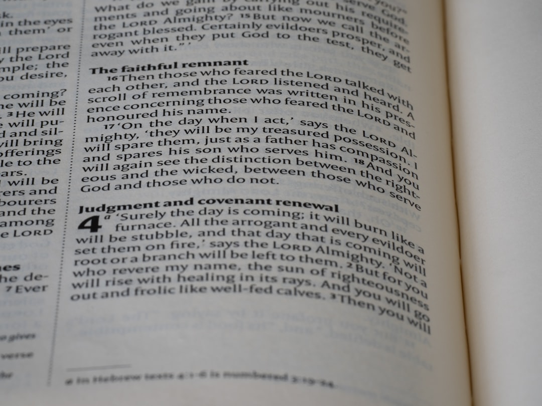 错误处理机制：优雅应对程序异常